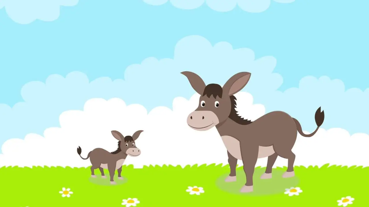 Almanca Sifatlar ve Zitlari